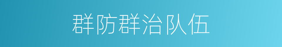 群防群治队伍的同义词