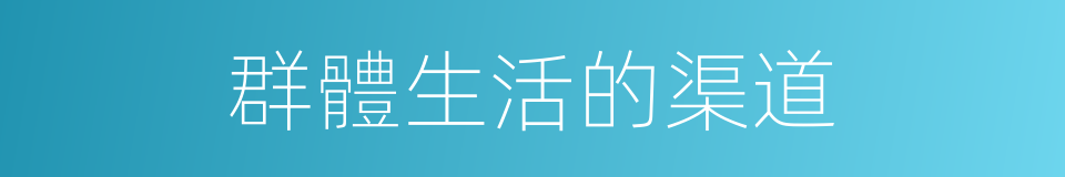 群體生活的渠道的同義詞
