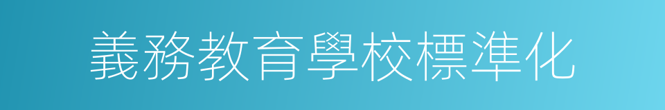 義務教育學校標準化的同義詞