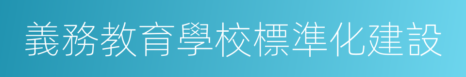 義務教育學校標準化建設的同義詞