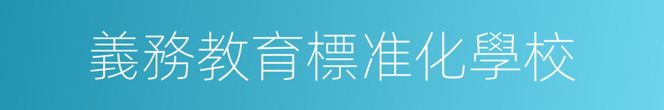 義務教育標准化學校的同義詞