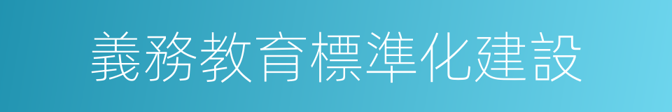 義務教育標準化建設的同義詞