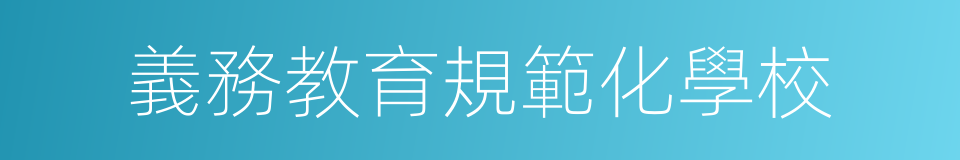義務教育規範化學校的同義詞