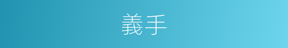 義手的意思