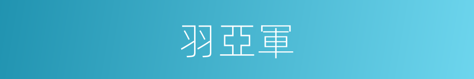 羽亞軍的同義詞