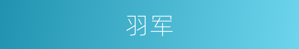 羽军的意思