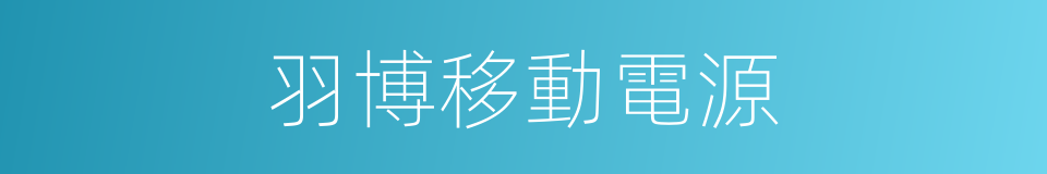 羽博移動電源的同義詞