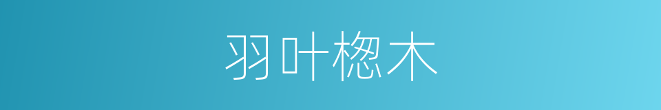 羽叶楤木的同义词