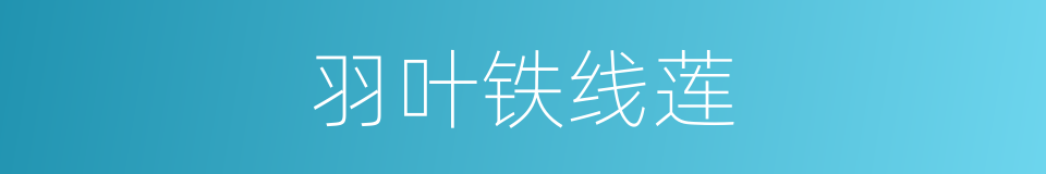 羽叶铁线莲的同义词