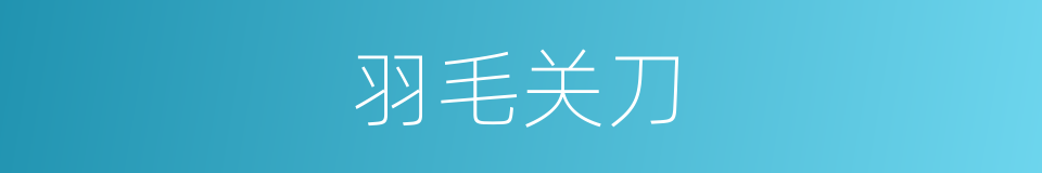 羽毛关刀的同义词