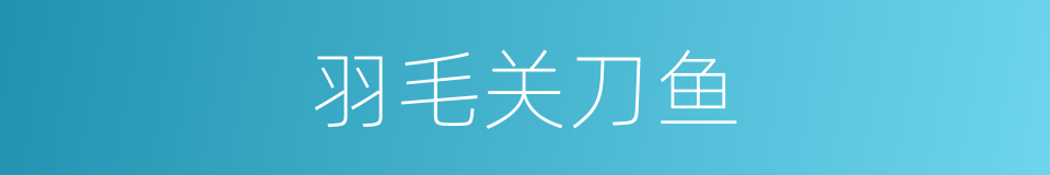 羽毛关刀鱼的同义词