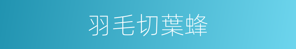 羽毛切葉蜂的同義詞
