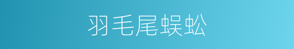 羽毛尾蜈蚣的同义词