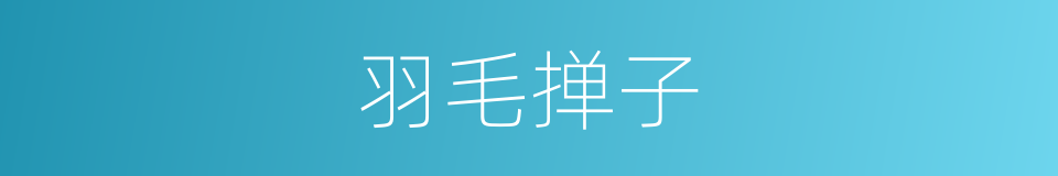 羽毛掸子的同义词