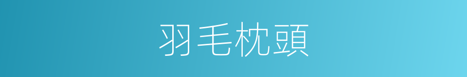 羽毛枕頭的同義詞