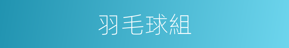 羽毛球組的同義詞