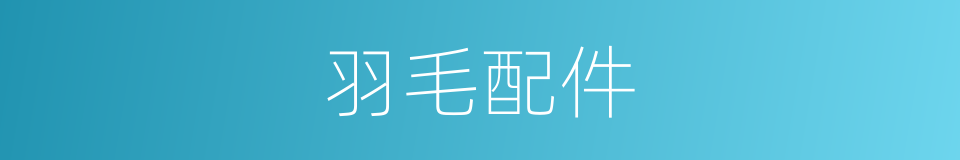 羽毛配件的同义词