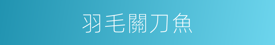 羽毛關刀魚的同義詞