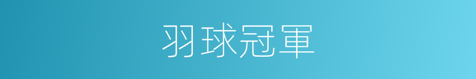 羽球冠軍的同義詞