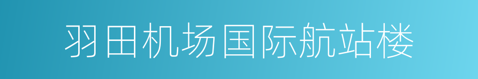 羽田机场国际航站楼的同义词