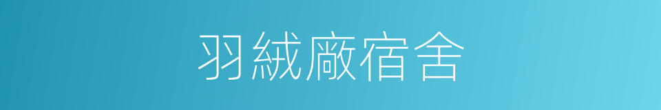 羽絨廠宿舍的同義詞