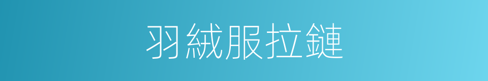 羽絨服拉鏈的同義詞