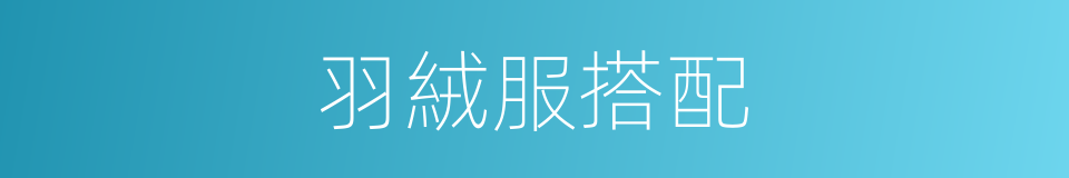 羽絨服搭配的同義詞