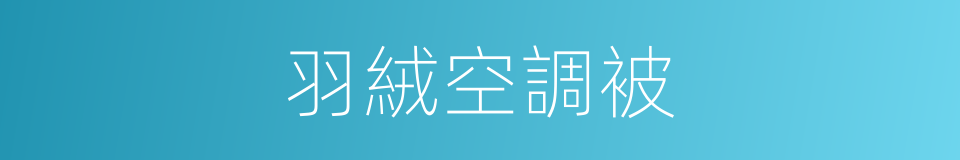 羽絨空調被的同義詞