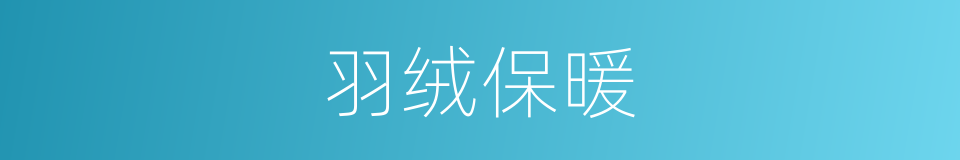 羽绒保暖的同义词