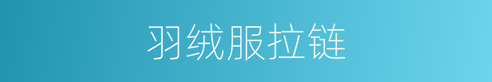 羽绒服拉链的同义词