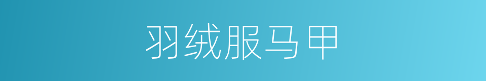 羽绒服马甲的同义词