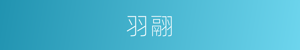 羽翮的意思