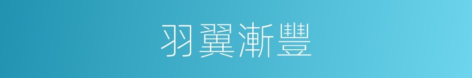 羽翼漸豐的意思