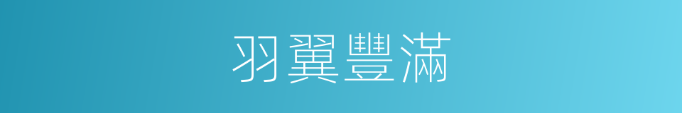 羽翼豐滿的意思