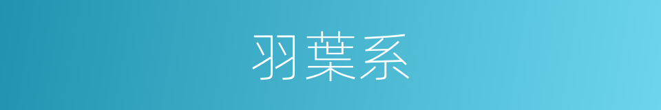羽葉系的意思