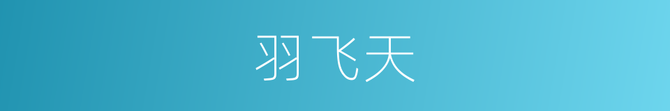 羽飞天的同义词