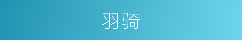 羽骑的意思