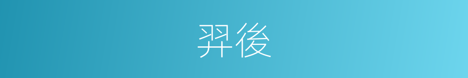 羿後的意思