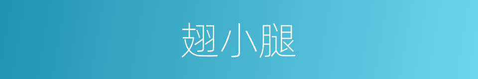 翅小腿的同义词