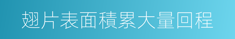 翅片表面積累大量回程的同義詞