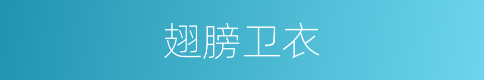 翅膀卫衣的同义词