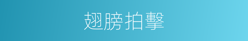 翅膀拍擊的同義詞