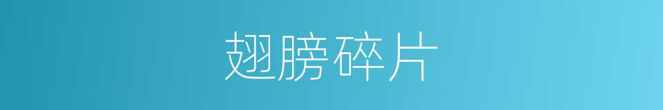 翅膀碎片的同义词