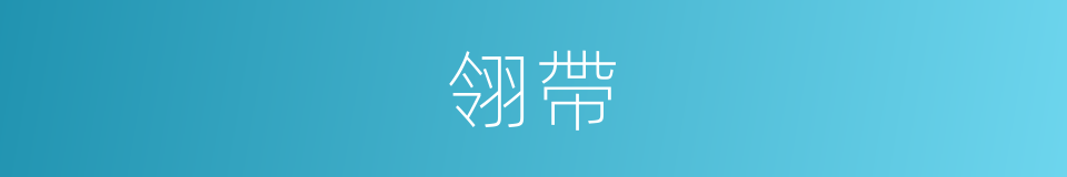 翎帶的同義詞