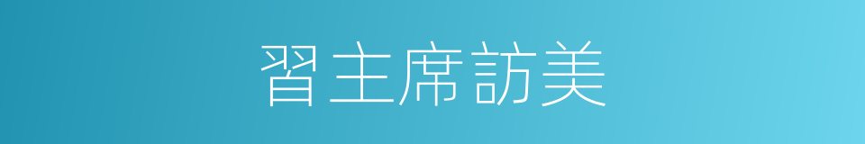 習主席訪美的同義詞