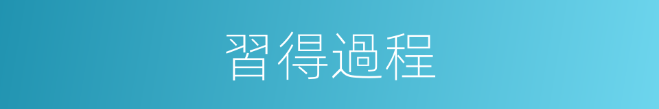 習得過程的意思