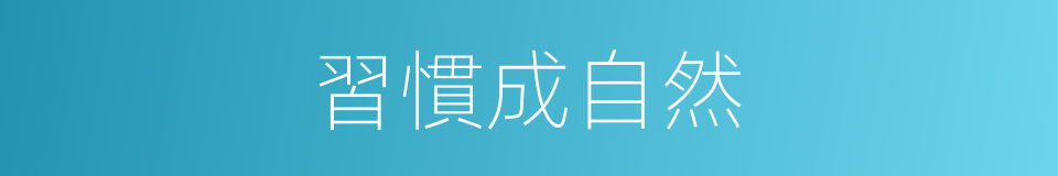 習慣成自然的意思
