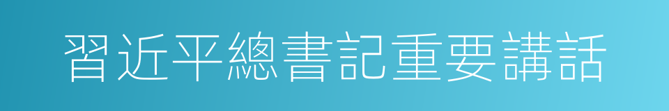 習近平總書記重要講話的同義詞