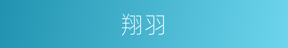 翔羽的同义词