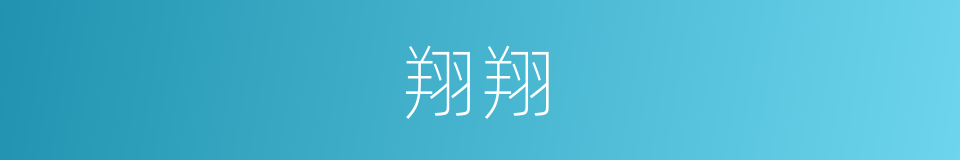 翔翔的意思